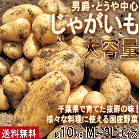 じゃがいも 男爵・とうや中心 約10kg M～3Lサイズ 千葉県産 大容量 様々なお料理に使えるお得な国産野菜！02