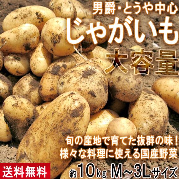 じゃがいも 男爵・とうや中心 約10kg M～3Lサイズ 千葉・茨城産中心 大容量 様々なお料理に使えるお得な国産野菜！出荷時期により旬の産地を厳選してお届け02