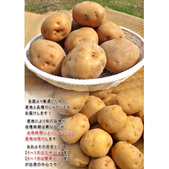 じゃがいも 男爵・とうや中心 約10kg M～3Lサイズ 千葉・茨城産中心 大容量 様々なお料理に使えるお得な国産野菜！出荷時期により旬の産地を厳選してお届け04