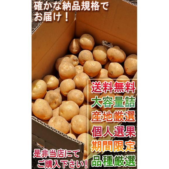じゃがいも 男爵・とうや中心 約10kg M～3Lサイズ 千葉・茨城産中心 大容量 様々なお料理に使えるお得な国産野菜！出荷時期により旬の産地を厳選してお届け06