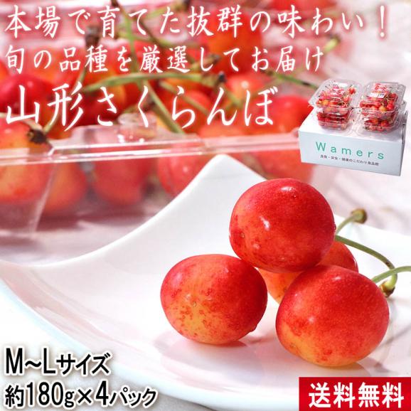 山形さくらんぼ 約180g×4パック M～Lサイズ 山形県産 最新品種の山形C12号をはじめ、旬のサクランボを厳選！02