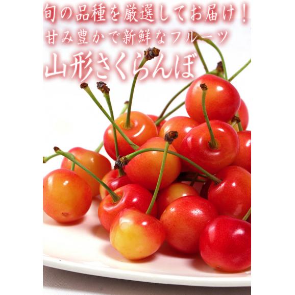 山形さくらんぼ 約180g×4パック M～Lサイズ 山形県産 最新品種の山形C12号をはじめ、旬のサクランボを厳選！03