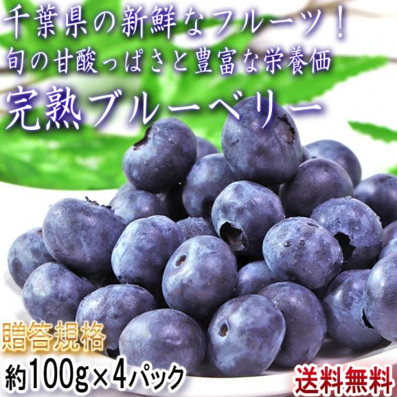完熟ブルーベリー 約100g×4パック 千葉県産 贈答規格 JA共撰品 風味と味わい豊かな生の果実！全国屈指の産地で育てた美味しい旬のフルーツ02