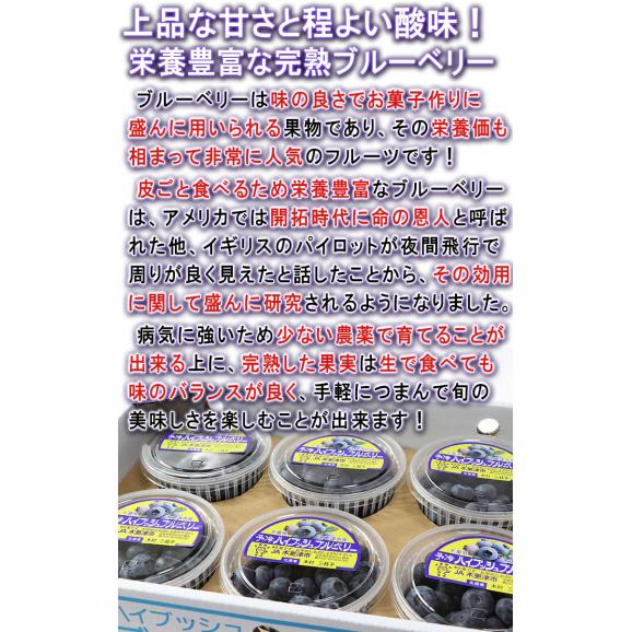 完熟ブルーベリー 約100g×4パック 千葉県産 贈答規格 JA共撰品 風味と味わい豊かな生の果実！全国屈指の産地で育てた美味しい旬のフルーツ04