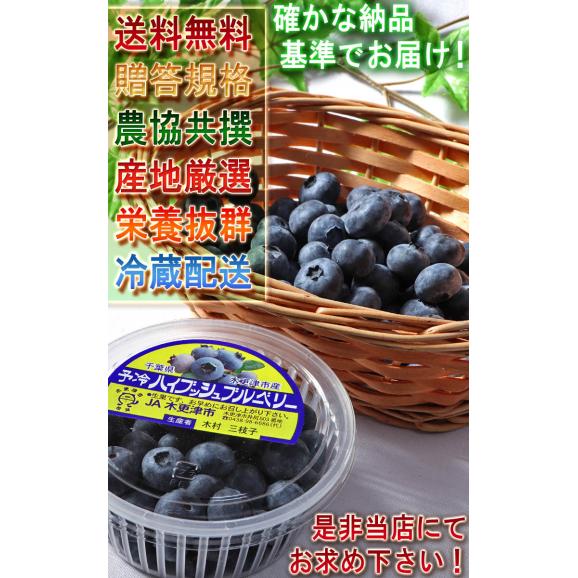 完熟ブルーベリー 約100g×4パック 千葉県産 贈答規格 JA共撰品 風味と味わい豊かな生の果実！全国屈指の産地で育てた美味しい旬のフルーツ05