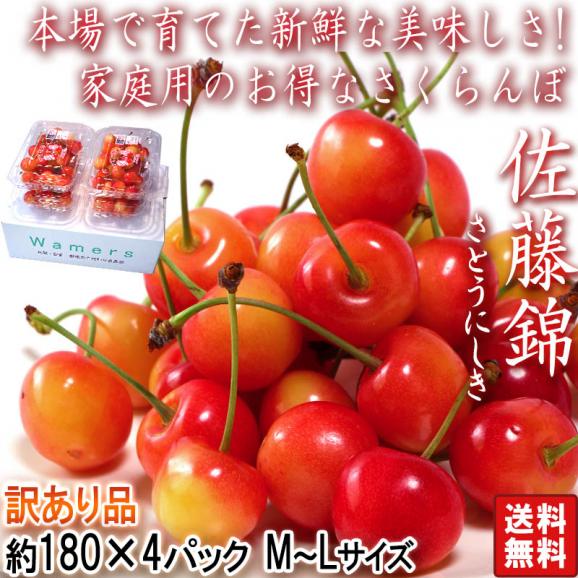 佐藤錦 さくらんぼ M～Lサイズ 約180g×4パック 山形県産 訳あり品 お得な旬の家庭用サクランボ！02