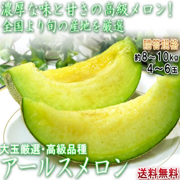 アールスメロン 約8～10kg 4～6玉入り 静岡・茨城・高知県産中心 贈答規格 別名マスクメロン！日本を代表する高級フルーツ02