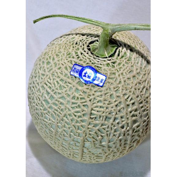 アールスメロン 約8～10kg 4～6玉入り 静岡・茨城・高知県産中心 贈答規格 別名マスクメロン！日本を代表する高級フルーツ06