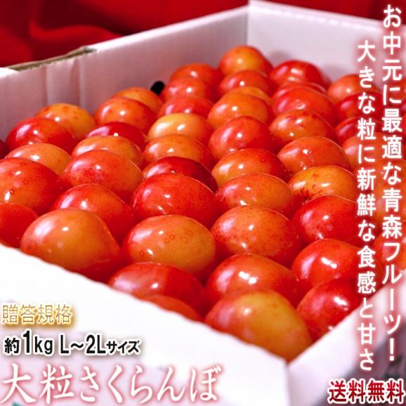 大粒さくらんぼ 約1kg L～2Lサイズ 青森県産 贈答規格 お中元に最適な美しい見た目と抜群の味！佐藤錦・紅秀峰を筆頭に旬のサクランボを厳選02