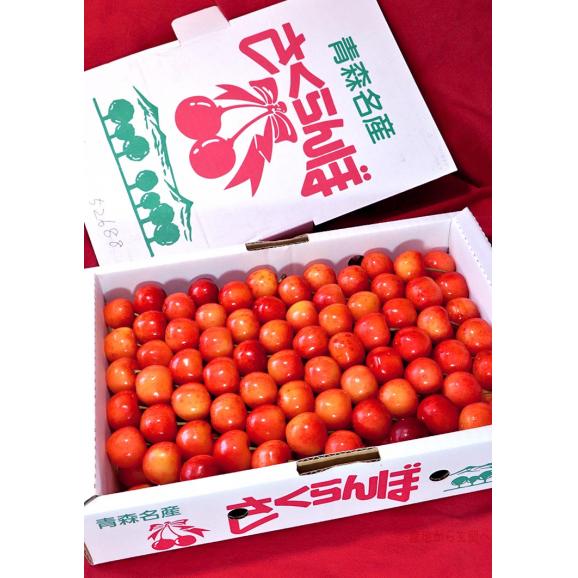 大粒さくらんぼ 約1kg L～2Lサイズ 青森県産 贈答規格 お中元に最適な美しい見た目と抜群の味！佐藤錦・紅秀峰を筆頭に旬のサクランボを厳選04