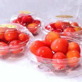 ジュノハート 大粒さくらんぼ 約100g×4パック 青森県産 贈答規格 大きな粒と抜群の味！甘み豊かな新品種のギフトフルーツ