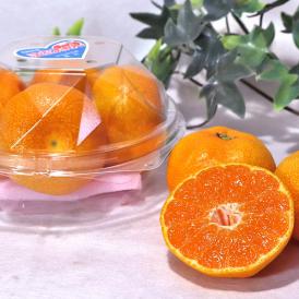 ハウス蜜柑 300g×4パック 長崎県産 贈答規格 JA共撰品 丁寧な栽培で甘み豊かな温州みかん！お中元などギフト最適な味と品質