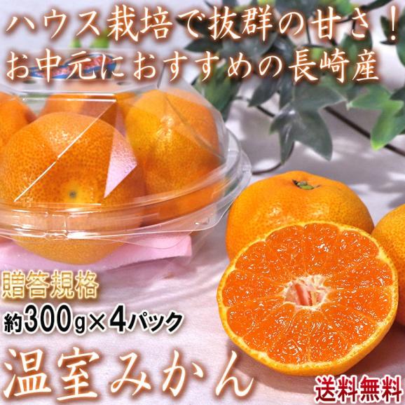 ハウス蜜柑 300g×4パック 長崎県産 贈答規格 JA共撰品 丁寧な栽培で甘み豊かな温州みかん！お中元などギフト最適な味と品質02