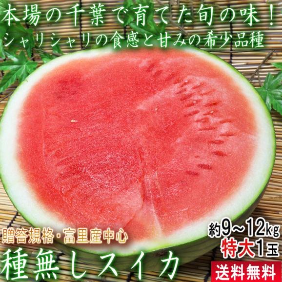 種無しスイカ 約9～12kg 特大1玉 千葉県産 贈答規格 富里産中心 西瓜の本場で育てた旬の味！お中元にも人気の希少品種02