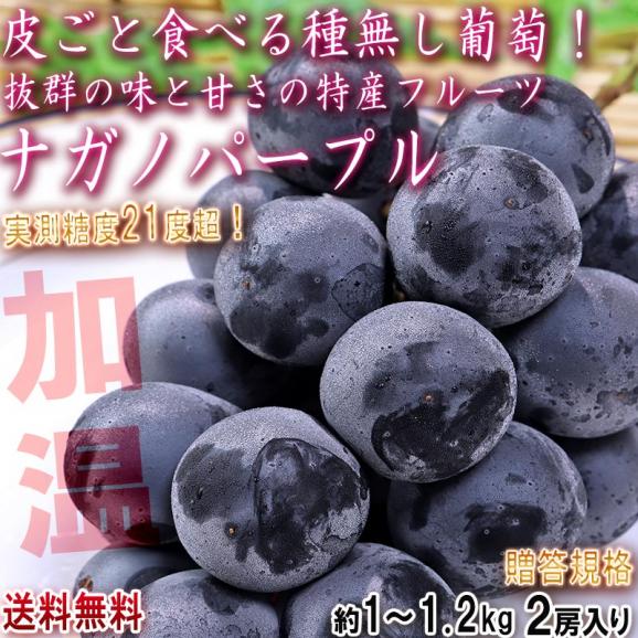 ナガノパープル 種無し葡萄 加温栽培 約1～1.2kg 2房 長野県産 贈答規格 JA共撰品 特産品の高級フルーツ！皮ごと食べる大粒の黒ぶどう02