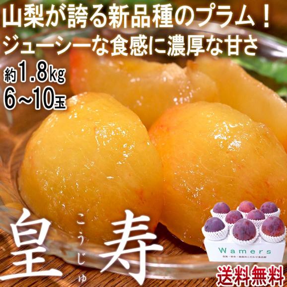 皇寿 こうじゅ 約1.8kg 6～8玉 山梨県産 大玉中心 実測糖度17度以上！高級プラム貴陽から生まれた抜群の味と甘さ02