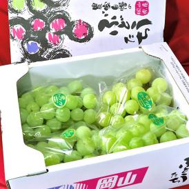 瀬戸ジャイアンツ 白ぶどう 約2kg 4房入り 岡山県産 贈答規格 JA共撰品 皮ごと食べる高級葡萄！パリっとした食感と甘さが魅力のギフトフルーツ ブドウ