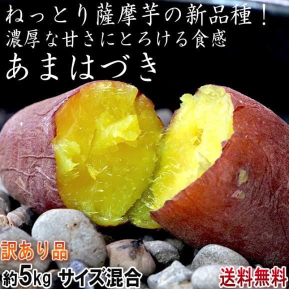 あまはづき 高糖度さつまいも 約5kg サイズ混合 千葉県産 訳あり品 新品種のねっとりサツマイモ！黄色の美しい果肉にとろける食感02