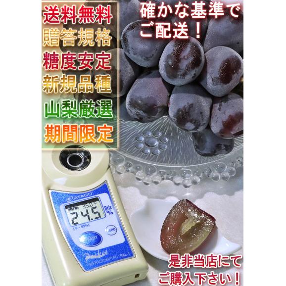 富士の輝 ブラックシャインマスカット 約1.2～1.5kg 2房入り 山梨県産 贈答規格 濃厚な甘さと食べやすさの次世代ブドウ！ギフト最適な希少品種06