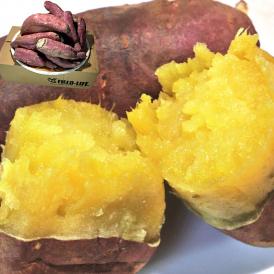 紅はるか 加工用さつまいも 約5kg 千葉県・茨城県産 訳あり品 家庭応援！味わい抜群のお得な傷あり薩摩芋！濃厚な甘み溢れる家庭用サツマイモ