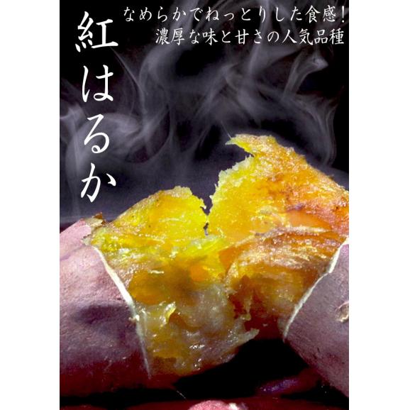 紅はるか 加工用さつまいも 約5kg 千葉県・茨城県産 訳あり品 家庭応援！味わい抜群のお得な傷あり薩摩芋！濃厚な甘み溢れる家庭用サツマイモ03