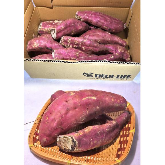 紅はるか 加工用さつまいも 約5kg 千葉県・茨城県産 訳あり品 家庭応援！味わい抜群のお得な傷あり薩摩芋！濃厚な甘み溢れる家庭用サツマイモ04