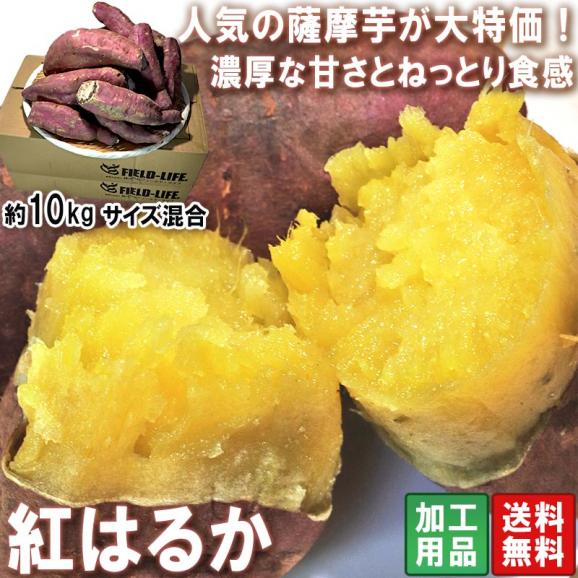 紅はるか 加工用さつまいも 約10kg 千葉県・茨城県産 訳あり品 見た目は傷ありで味わい抜群のお得な薩摩芋！濃厚な甘み溢れる家庭用サツマイモ02