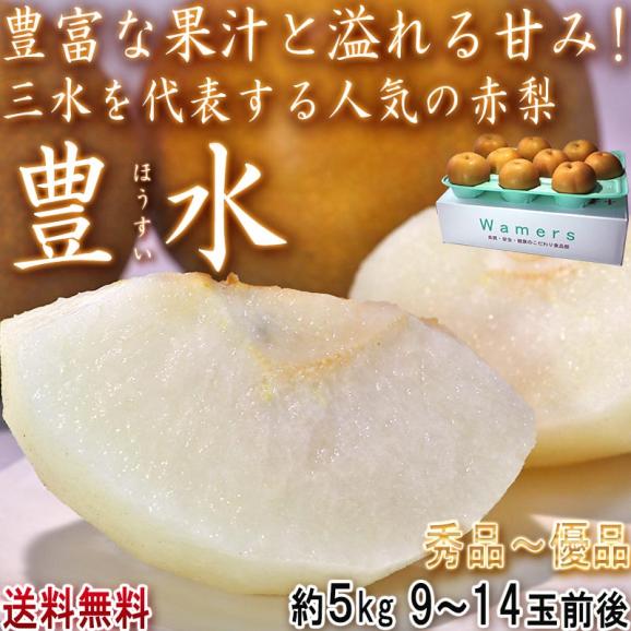豊水 和梨 約5kg 9～16玉 千葉県産 贈答規格 大玉限定 秀品～優品 白井・市川・船橋を始め産地厳選！ジューシーな旬の新鮮なナシ02