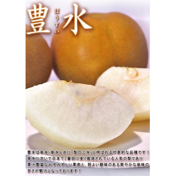豊水 和梨 約5kg 9～16玉 千葉県産 贈答規格 大玉限定 秀品～優品 白井・市川・船橋を始め産地厳選！ジューシーな旬の新鮮なナシ04