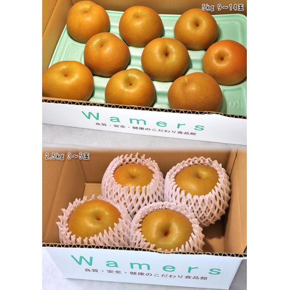 豊水 和梨 約5kg 9～16玉 千葉県産 贈答規格 大玉限定 秀品～優品 白井・市川・船橋を始め産地厳選！ジューシーな旬の新鮮なナシ05