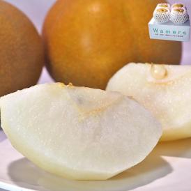 豊水 和梨 約2.5kg 3～5玉 千葉県産 贈答規格 大玉限定 秀品～優品 白井・市川・船橋を始め産地厳選！ジューシーな旬の新鮮なナシ