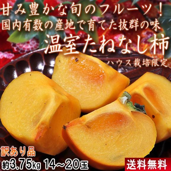 温室たねなし柿 約3.75kg 14～20玉 和歌山・奈良県産中心 訳あり品 ギフト最適なハウス栽培！甘み豊かな旬の高級フルーツ02