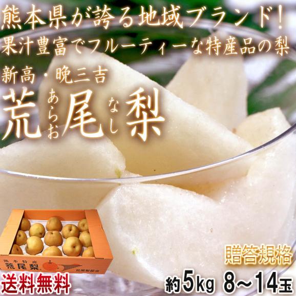 荒尾梨 あらおなし 新高・晩三吉 約5kg 8～14玉 熊本県・荒尾産限定 贈答規格 地域ブランドの高品質な特産品！爽やかな甘さとジューシーな食感02