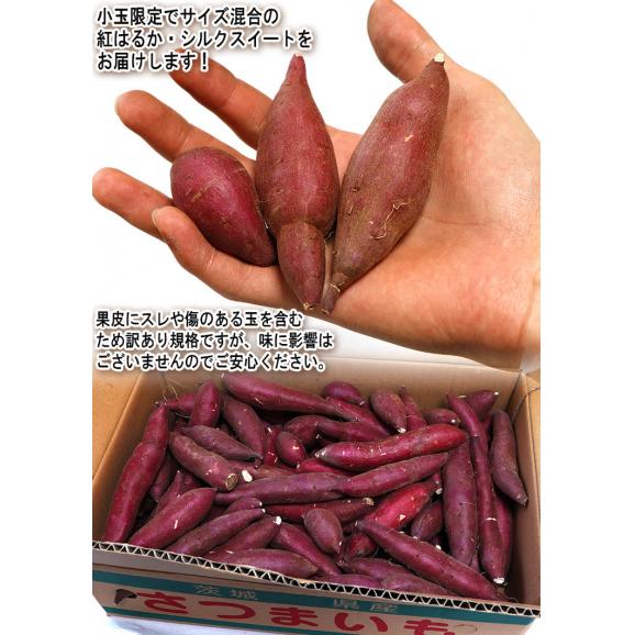 甘熟蜜いも 小玉さつまいも シルクスイート・紅はるか等 約5kg 3S~Sサイズ 千葉県・茨城県産 訳あり品 溢れる甘さの蜜芋!旬の品種をお届け03