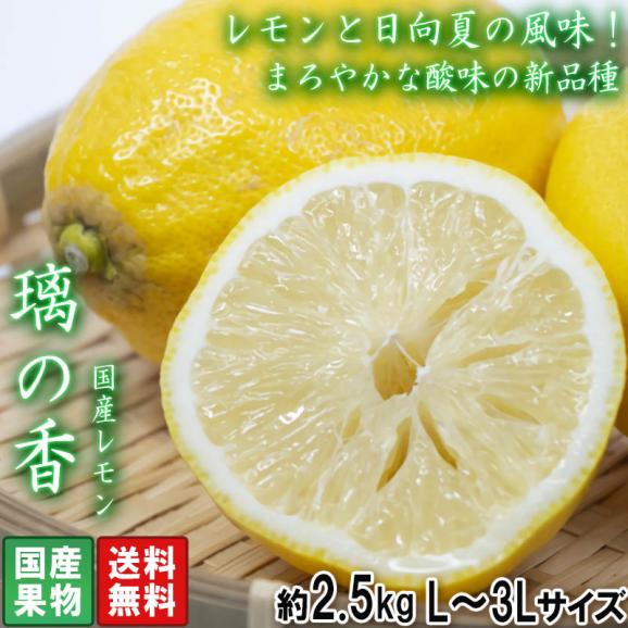 国産レモン 璃の香 約2.5kg L~3Lサイズ 大玉 高知県産 新品種のグリーンレモン!まろやかな酸味と豊かな風味02