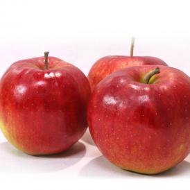 ジョナゴールド 赤りんご 約5kg 17～28玉 青森・岩手県産 実測糖度14度の高糖度！鮮やかな色とジューシーな果肉と濃厚な味わいの林檎 リンゴ