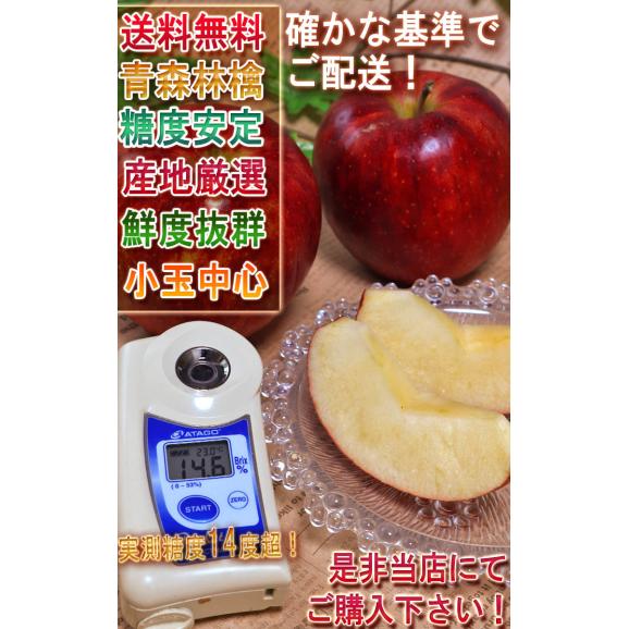 ジョナゴールド 赤りんご 約5kg 17～28玉 青森・岩手県産 実測糖度14度の高糖度！鮮やかな色とジューシーな果肉と濃厚な味わいの林檎 リンゴ03