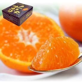 産地直送 味ピカ蜜柑 樹上完熟みかん 約5kg S～Lサイズ 愛媛県産 贈答規格・特秀品 JAにしうわ 天皇杯受賞の川上共撰が誇るトップブランド！