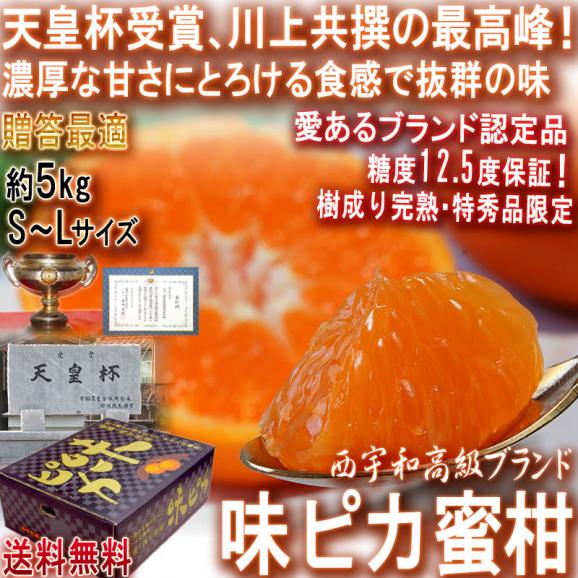 産地直送 味ピカ蜜柑 樹上完熟みかん 約5kg S~Lサイズ 愛媛県産 贈答規格・特秀品 JAにしうわ 天皇杯受賞の川上共撰が誇るトップブランド!02