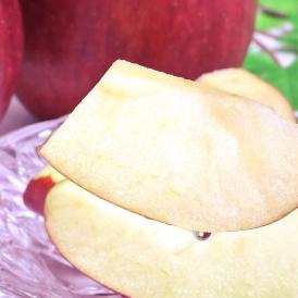 あいかの香り 赤りんご 約5kg 12～20玉 岩手県産 少ない酸味と上品な甘さ！蜜の入る期待の新品種