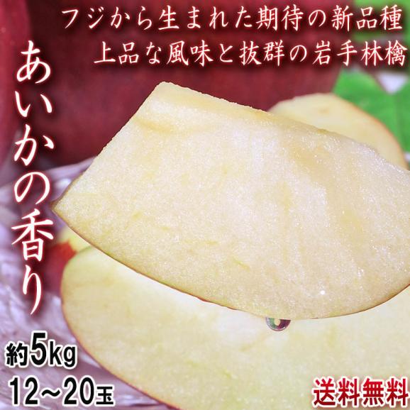 あいかの香り 赤りんご 約5kg 12~20玉 岩手県産 少ない酸味と上品な甘さ!蜜の入る期待の新品種02