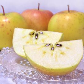 こうこう 黄色りんご 約5kg 小玉サイズ 青森県産 希少品種の蜜リンゴ！酸味の少ない濃厚な甘さ