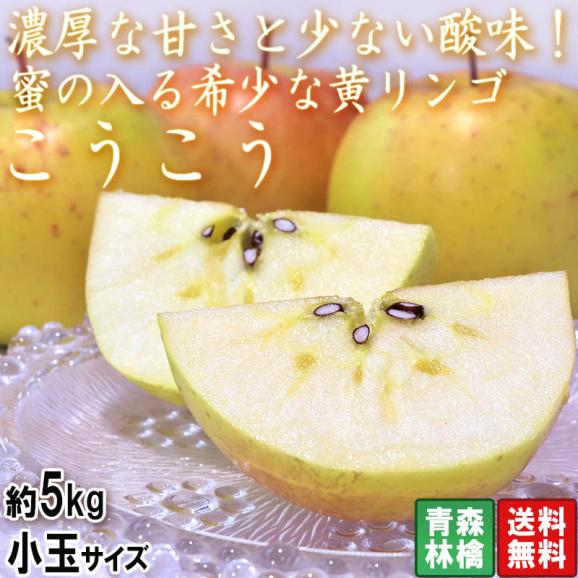 こうこう 黄色りんご 約5kg 小玉サイズ 青森県産 希少品種の蜜リンゴ！酸味の少ない濃厚な甘さ02