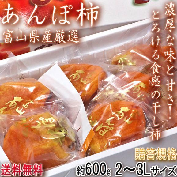 あんぽ柿 約600g 2~3Lサイズ 大玉 贈答規格 富山県産 ギフト最適な抜群の味と甘さ!濃厚な味にとろりとした食感02