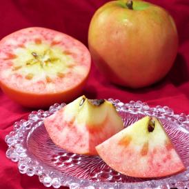 ムーンルージュ 蜜りんご 約2kg 4～8玉 長野県産 贈答規格 JA中野市 赤い果肉の高級林檎！甘み豊かで希少なフルーツ