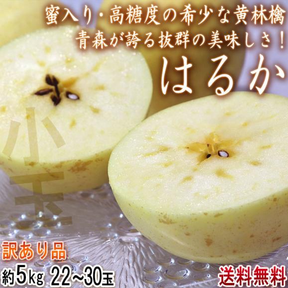 はるか 蜜入り黄りんご 小玉 約5kg 22～30玉 訳あり品 青森県産 高い糖度と控えめな酸味！林檎の本場で育てた味わい抜群の家庭用リンゴ02