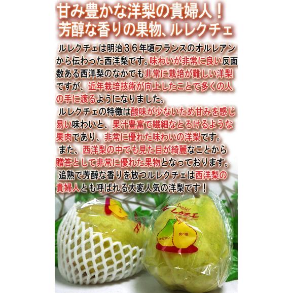 ルレクチェ 約2kg 3～8玉 福島県産中心 訳あり品 産地厳選 とろける甘みと食感の幻の梨！旬の産地からお取り寄せ04