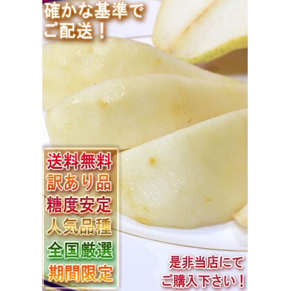 ルレクチェ 約2kg 3～8玉 福島県産中心 訳あり品 産地厳選 とろける甘みと食感の幻の梨！旬の産地からお取り寄せ06