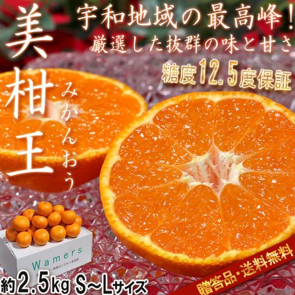 美柑王 みかんおう 高糖度ミカン 約2.5kg S~Lサイズ 贈答規格 愛あるブランド認定 糖度12.5度保証の高級フルーツ!お歳暮やギフト最適な抜群の味と甘さ02
