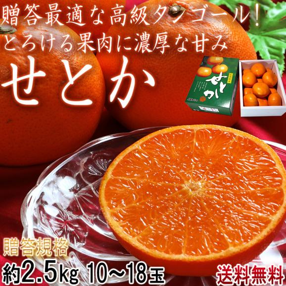せとか 温室栽培 約2.5kg 10～18玉入り 佐賀県産 贈答品 化粧箱入り 高級タンゴールの代表品種！とろけるような果肉と濃厚な甘みの柑橘02